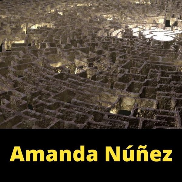 Retos de la filosofía Amanda Núñez García